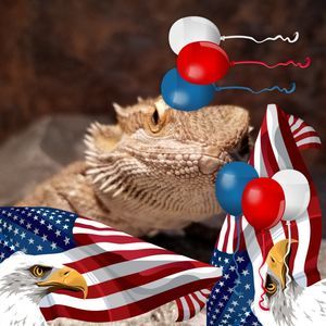 Meet your Posher, Lynette